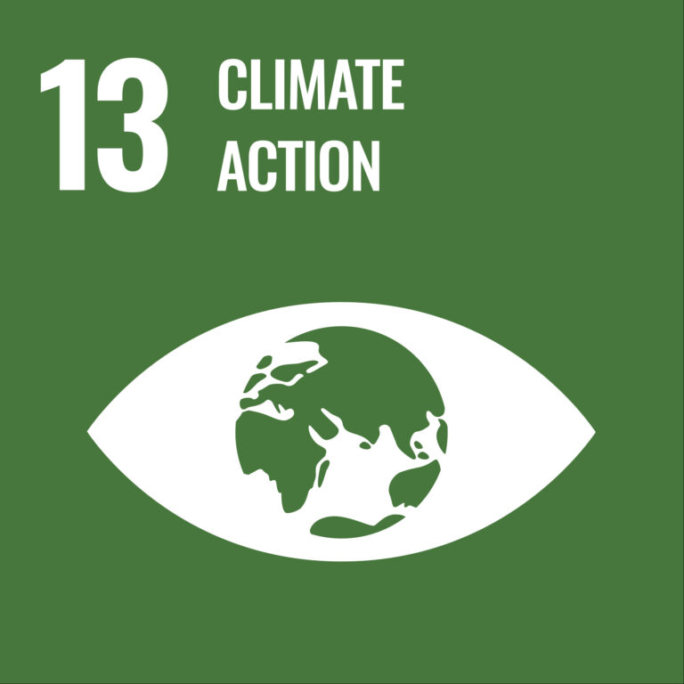 Sustainable_Development_Goal_13Climate.svg